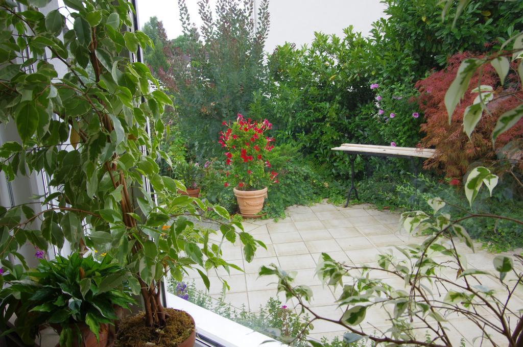 Rose-Marie'S Paradies Apartment Aesch Luaran gambar