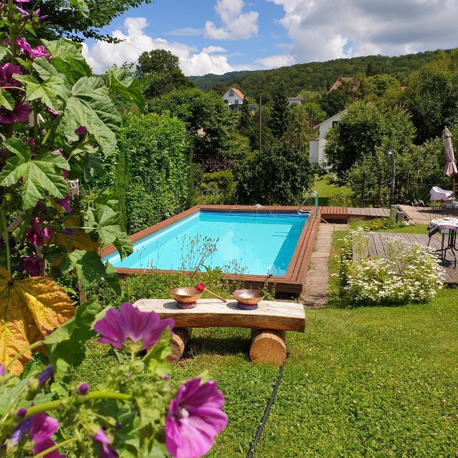 Rose-Marie'S Paradies Apartment Aesch Luaran gambar